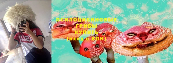 круглые Богородицк