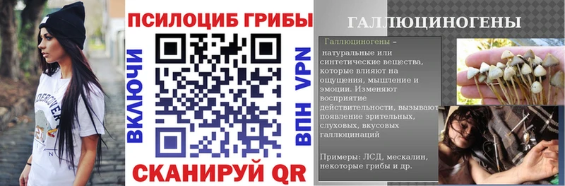Галлюциногенные грибы Magic Shrooms  кракен ONION  Венёв  магазин   